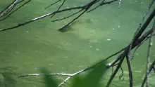 Video thumb for Moments Fly Fishing