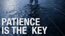 Video thumb for Patience Is The Key