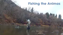 Video thumb for Animas in March