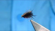 Video thumb for CDC Heather Fly