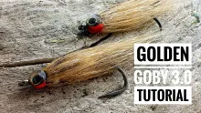 Video thumb for Golden Goby 3.0