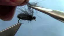Video thumb for CDC Beetle