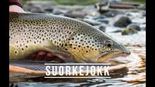 Video thumb for Suorkejokk