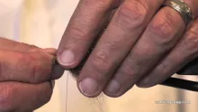 Video thumb for Bunny Sculpin Intruder