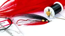 Video thumb for Black & Red Intruder