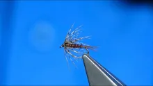 Video thumb for Endrick Spider