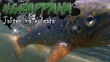 Video thumb for Grappana