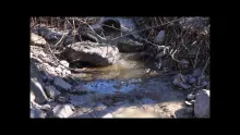 Video thumb for Pollution