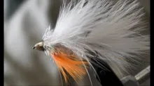 Video thumb for Scottie's Mcfly